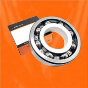 Coixinets aïllats del motor